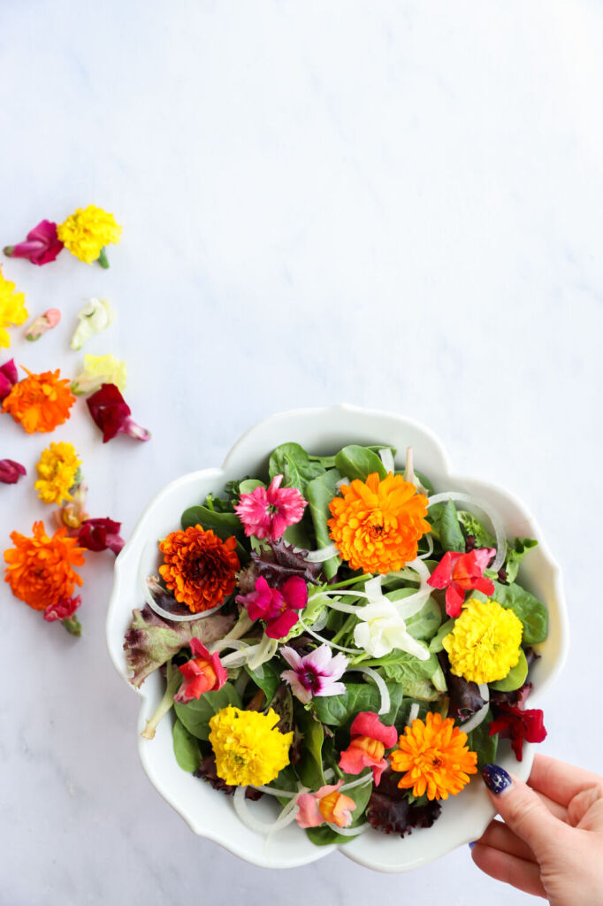 Garden salad with edible flowers and apple cider vinegar dressing