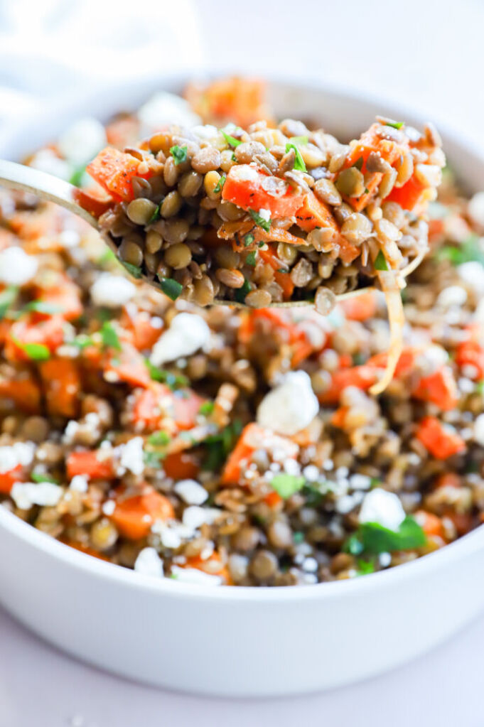 Vegetarian lentil salad with soft goat cheese and roasted sweet potatoes